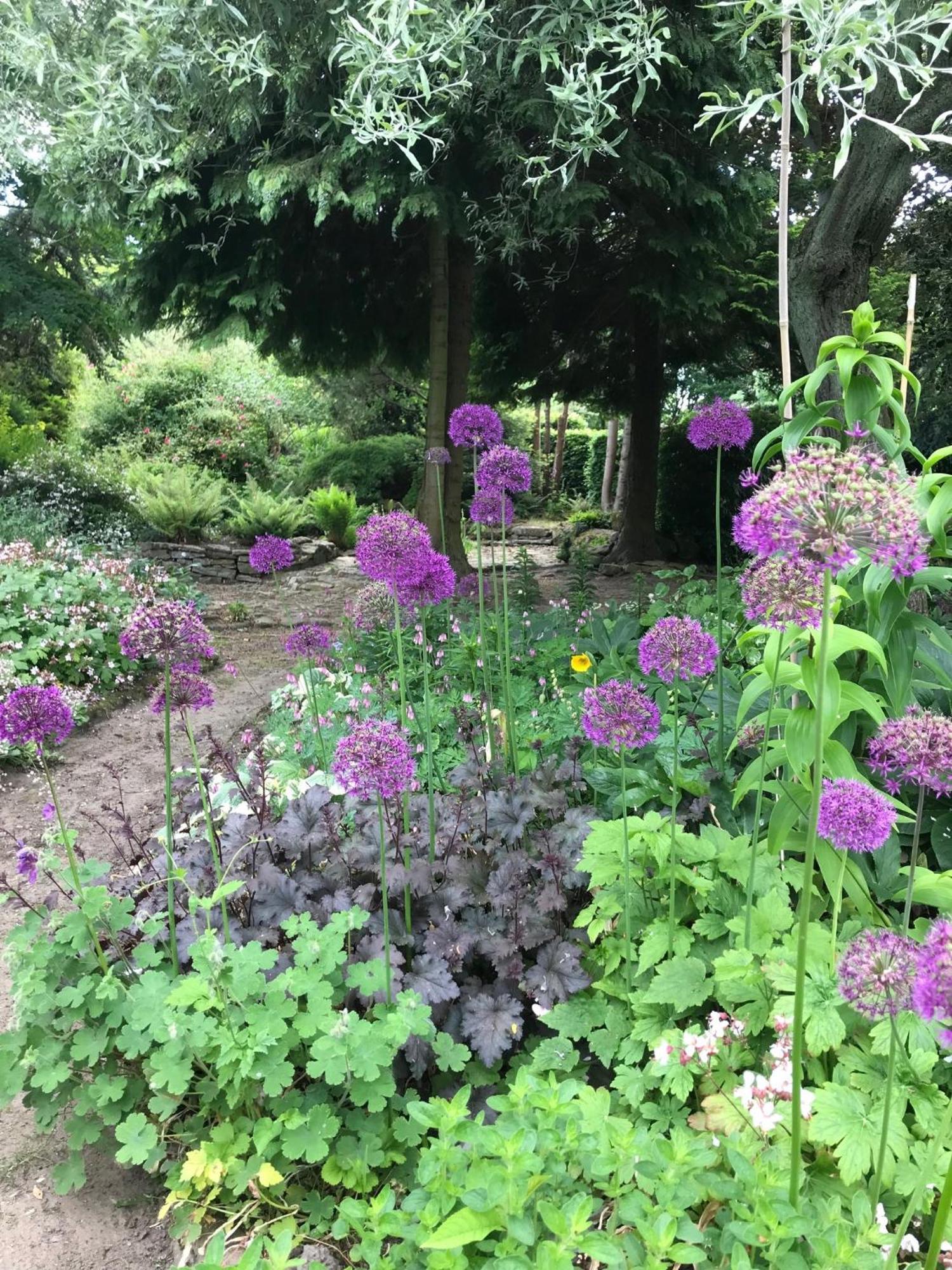 约克Phlomis别墅 外观 照片